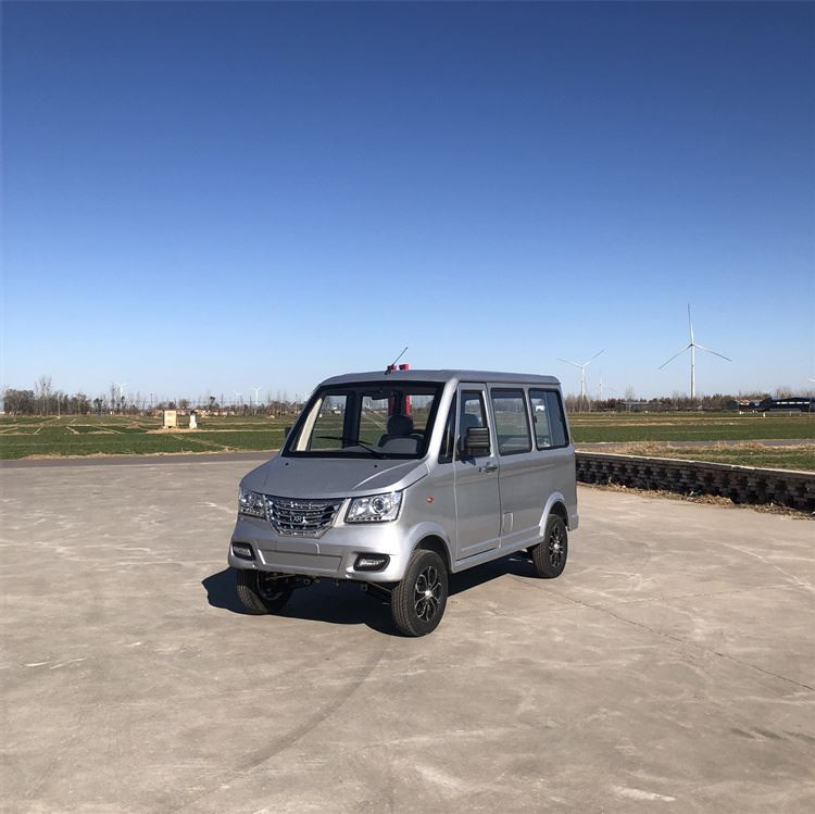 Electric Cargo Mini Van